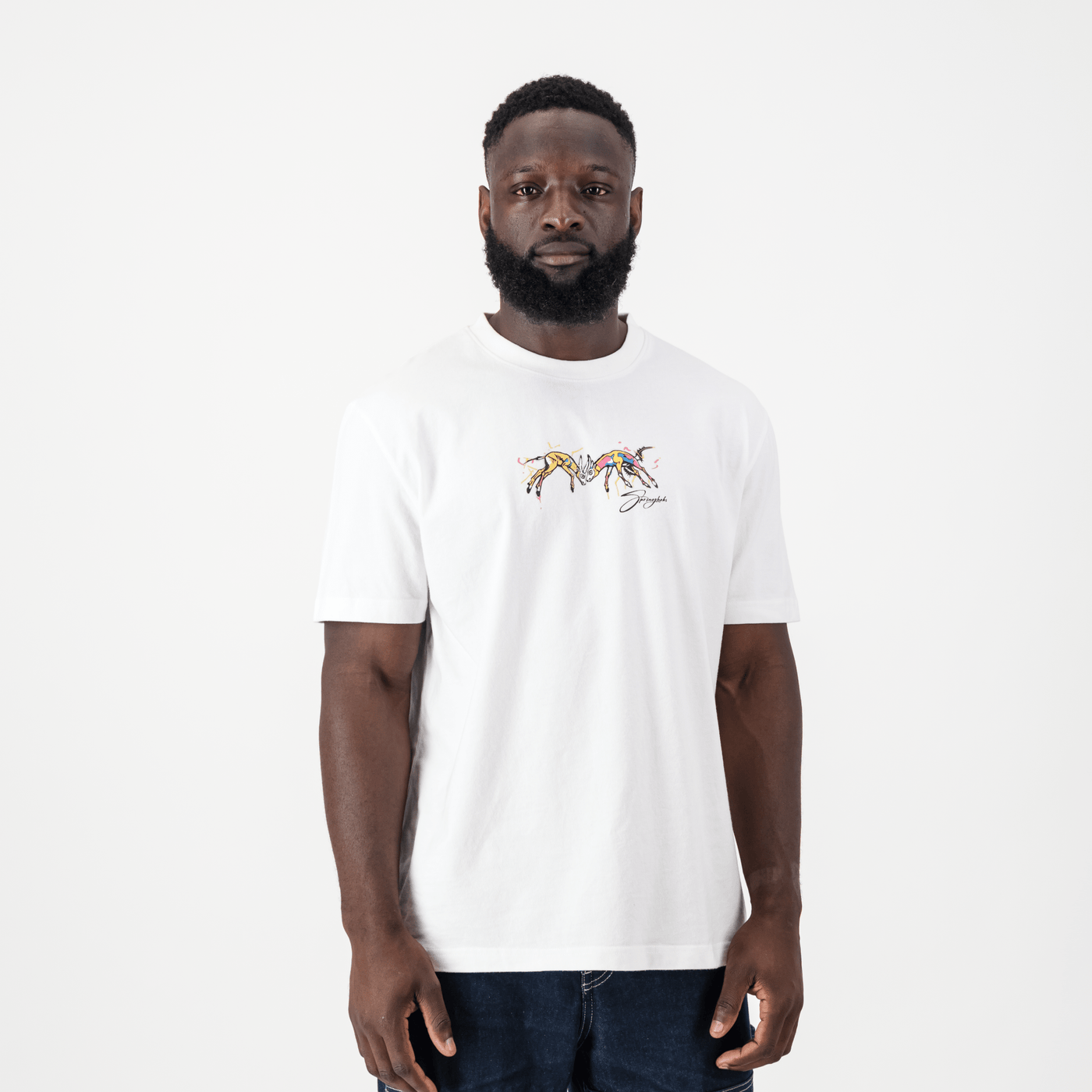 Springboks Graffiti Regular Crew Tee-White