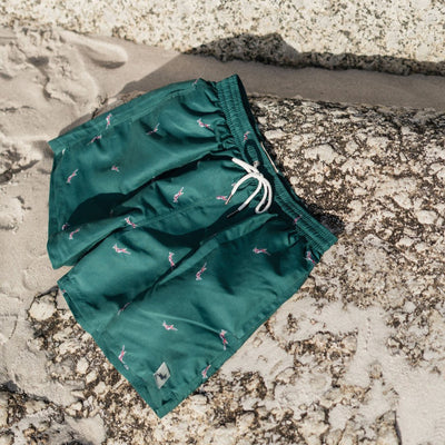 Springboks All Over Print Swim Short-Teal