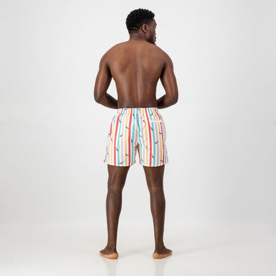 Springboks Candy Stripe Swim Short-White