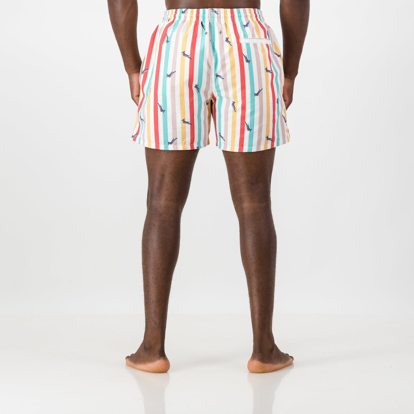 Springboks Candy Stripe Swim Short-White