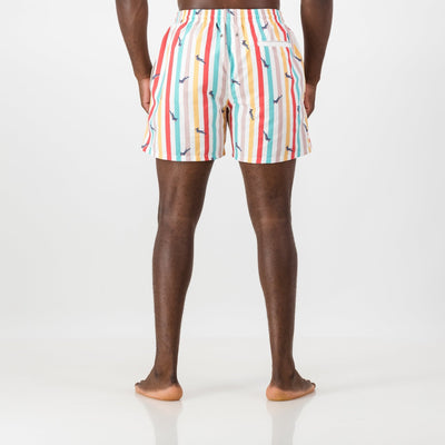 Springboks Candy Stripe Swim Short-White